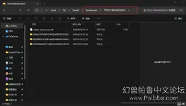 Snipaste_2025-06-28_21-30-31.webp
